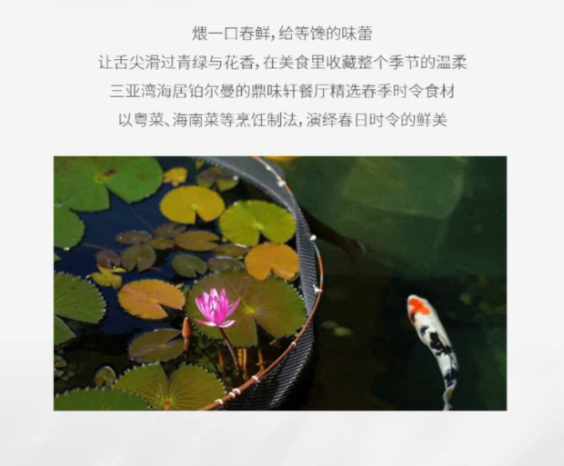 ΢�Ž�ͼ_20250331151530 (2).jpg